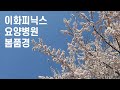 아산요양병원 이화피닉스 봄풍경