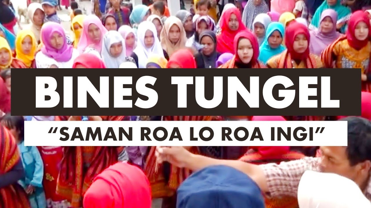 BINES GAYO : Alunan Merdu Suara BERU Gayo