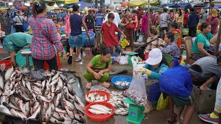 Chbar Ampov Fish Market Scene - Daily Lifestyle of Vendors Selling Alive Fish, Dry Fish &amp; More Food
