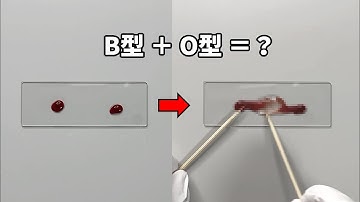 異なる血液型の血を混ぜると、衝撃的な現象が起こります。