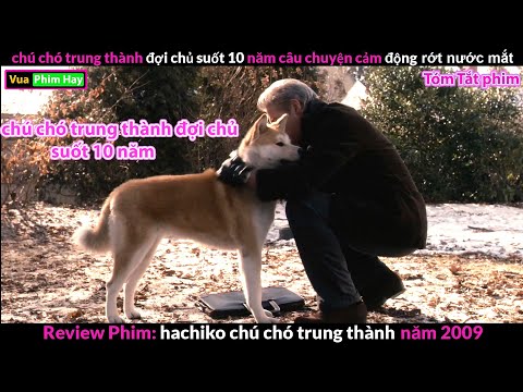 #1 rớt nước mắt với Chú Chó Trung Thành – review phim chú chó trung thành Mới Nhất