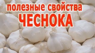 видео Чеснок для иммунитета, как использовать свойства чеснока, в чём