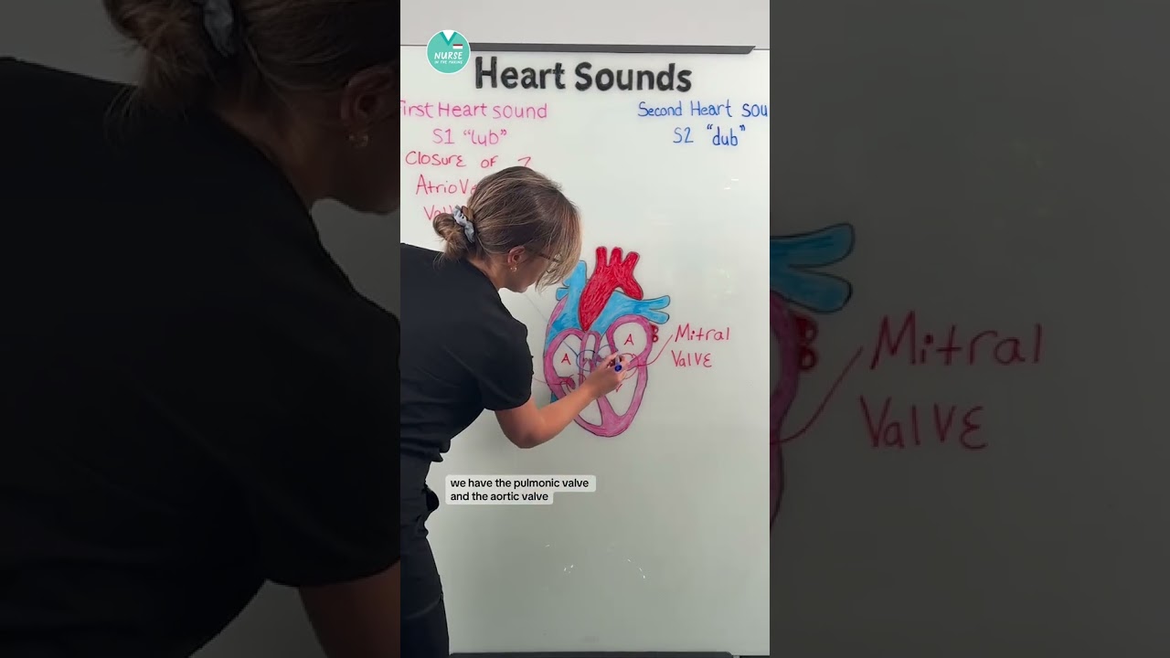 Heart Sounds Explained 🫀 
