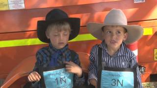 2013 All Breeds Heifer Show Highlights