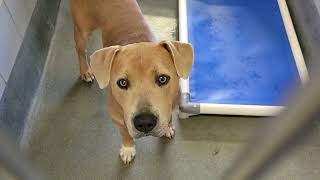 acs A658886