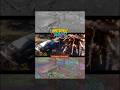 @pwnisher Rampage Rally 3D Community Challenge. #shorts
