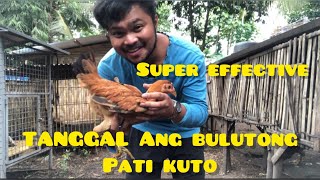 Pinaka Mabisang Gamot Para Sa Bulutong Ng Manok  Pati Kuto Tanggal