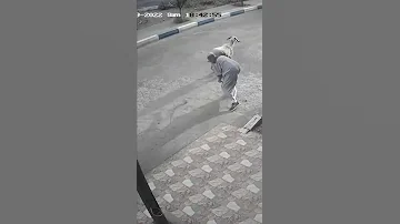 هروب خروف فانت خطير دار ليه خاوية فعامرة مبروك العيد هروب خروف العيد 2022 هروب خروف العيد Shorts 