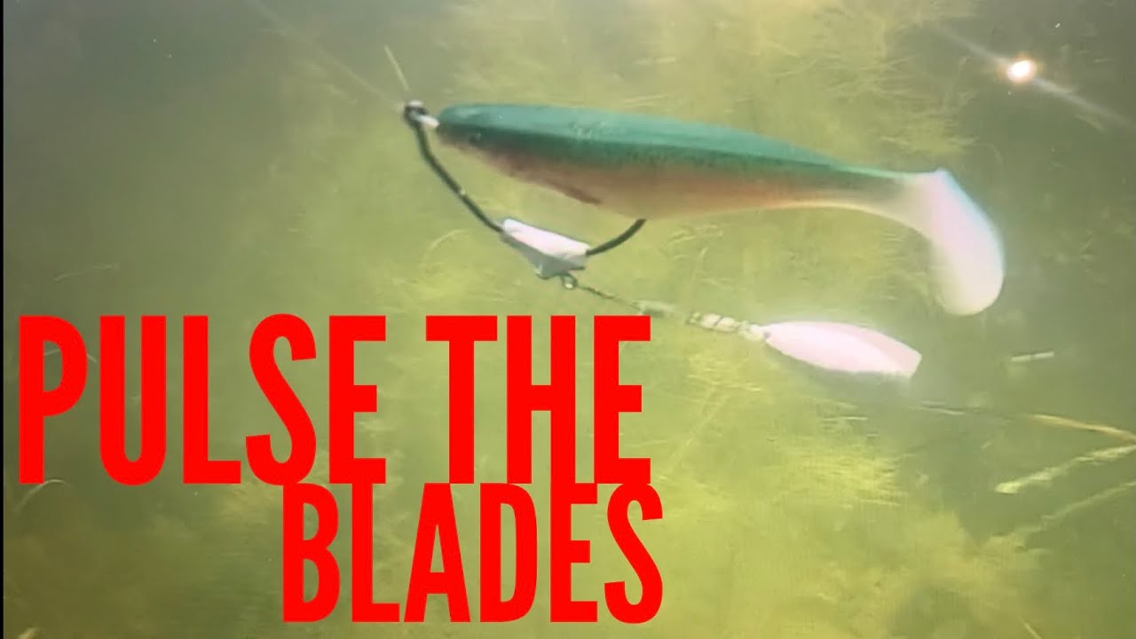Pulse Your Spinner Baits - Don't Feather Them - YouTube