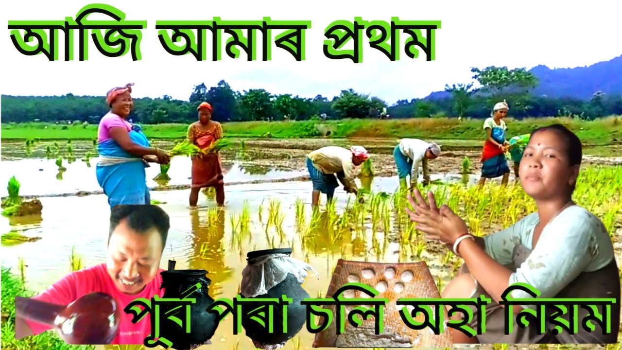 প্রথম কঠীয়া দিলে আজি আমাৰ 🌾#virallongvideo #longviralvideo #husbandwife 