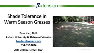 Shade Tolerance in Warm Season Grasses