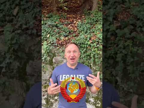 Исторический вебинар об СССР в день Октябрьской революции 7 ноября. Почему он позвращается?