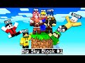BENVENUTI NELLA BIG SKYBLOCK! - MINECRAFT