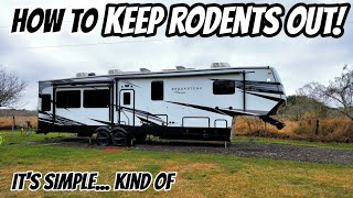 How to KEEP RODENTS OUT of your RV! It's simple!