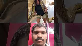 #snake #reptiles #animals #python #funny #baby #cat #comedy #duet #ma