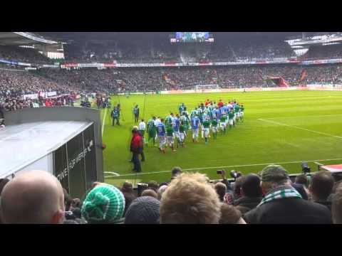 Video: Waterstadion