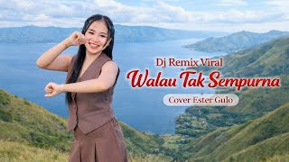 Download Lagu Lagu Terbaru | Walau Tak Sempurna | Cover Ester Gulo | Dj Remix Hits MP3