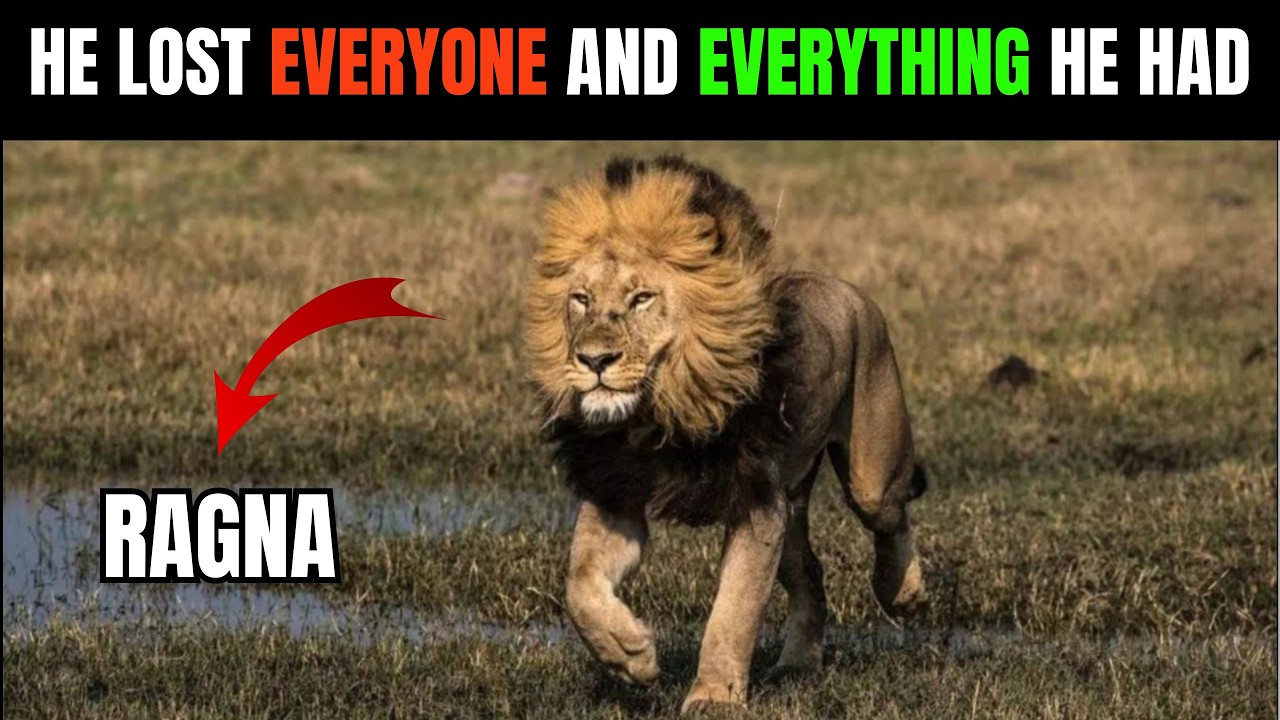 He Lost Everything in One Night — Then Walked Through 3 Kingdoms of Death to Build His Own