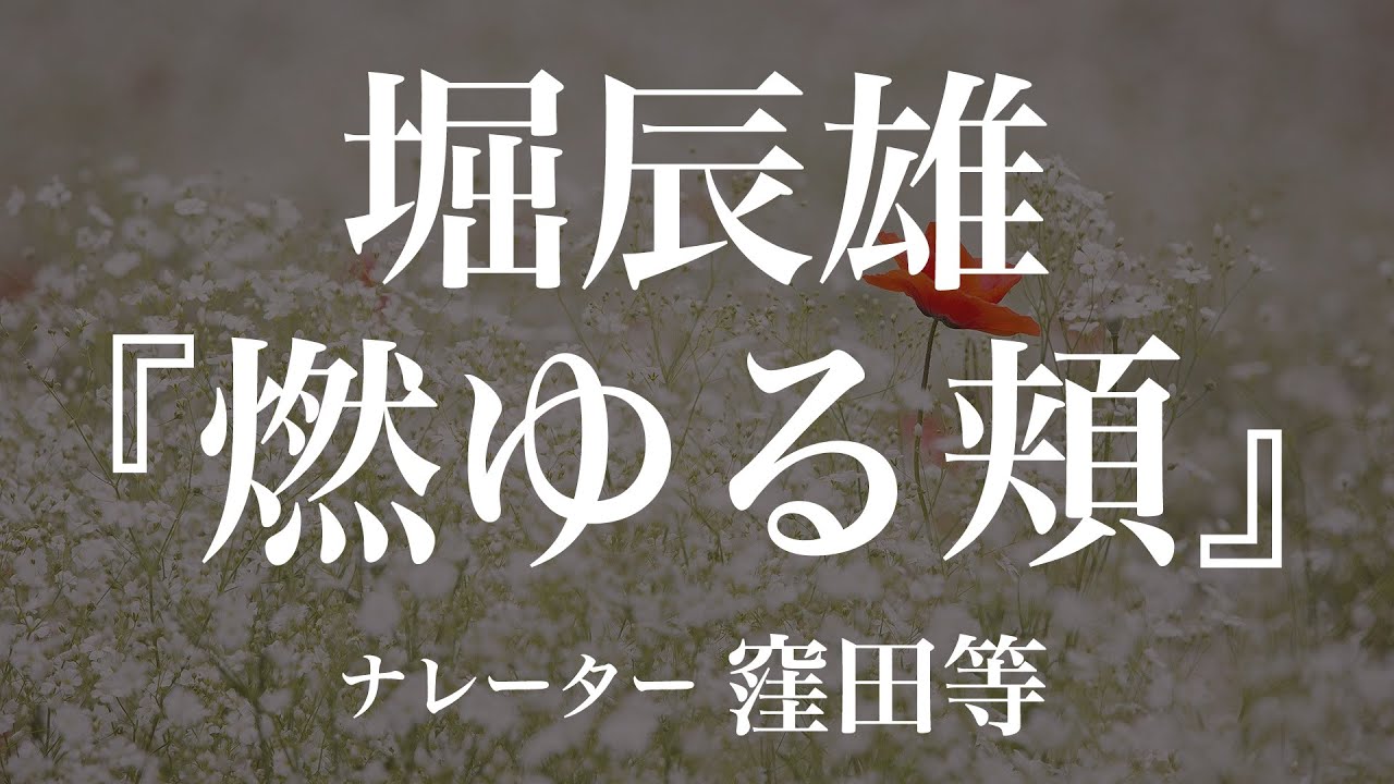 『燃ゆる頬』作：堀辰雄　朗読：窪田等　作業用BGMや睡眠導入 おやすみ前 教養にも 本好き 青空文庫