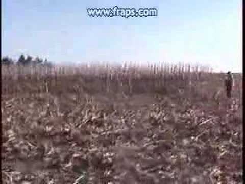 South Dakota Pheasant Hunt