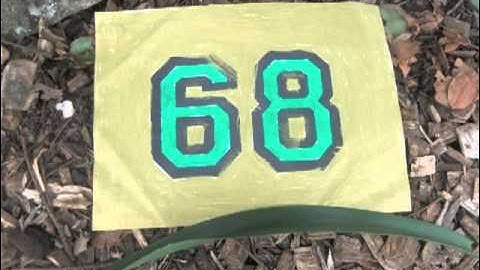 Backwards Counting 100