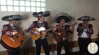 Mariachi Loco - El Mariachi Loco (Live) - London, United Kingdom