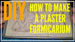 DIY| HOW TO MAKE A PLASTER FORMICARIUM