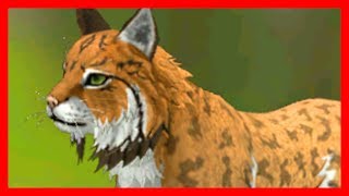 СИМУЛЯТОР РЫСИ #1 РЫСЯТА Симулятор Жизни Зверей WildCraft про котят и собак от ДЕТСКИЕ ИГРЫ СИМУЛЯТОР РЫСИ #1 РЫСЯТА Симулятор Жизни Зверей WildCraft про котят и собак от ДЕТСКИЕ ИГРЫ