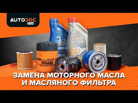 Как заменить моторное масло и масляный фильтр в автомобиле [ВИДЕОУРОК AUTODOC]