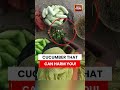 Viral Video: Cucumber Sold At Railway Station Exposed As Potential Health Risk Food Scam #viral