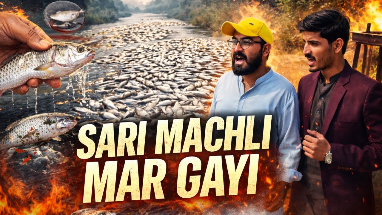 😱| Pani Main Kya Daala |🐟💀| Sari Machli Mar Gayi |😨
