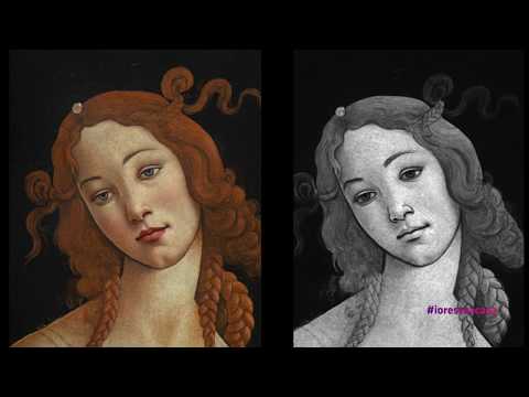 Musei Reali Torino - Closed in. I Musei visti da dentro: La Venere di Botticelli, Galleria Sabauda