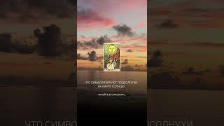 Что символизируют подсолнухи на карте Солнце? #таро #мастертаро #tarot #таролог #талисмантаро