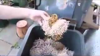Видео Неведомая хрень - инопланетянин? (автор: Нияз Латыпов)