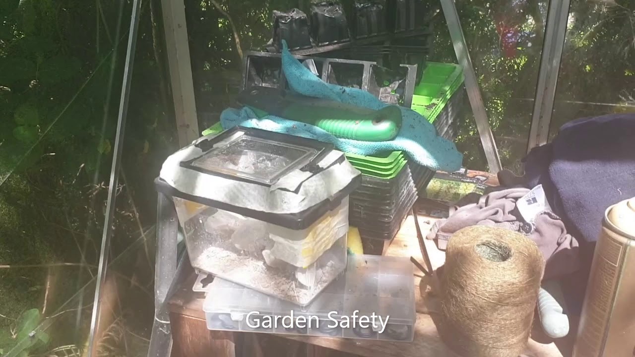 Make your garden hedgehog friendly.