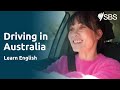 Driving in Australia - Ep 5 | Meet the Changs | Learn English