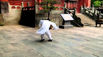 Wu Dang Sword 武当剑 Xu Wei Han 许微含