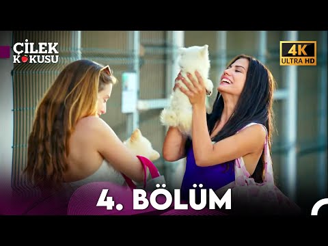 Çilek Kokusu 4. Bölüm (4K)