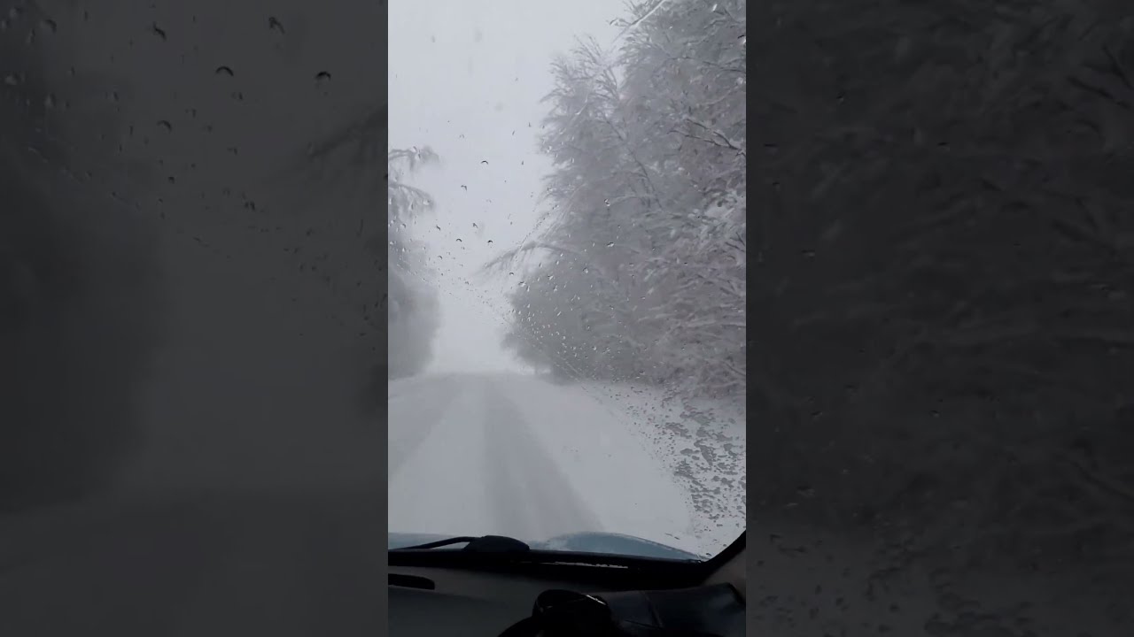 A Challenging Drive Through Winter's Embrace in Lithuania
