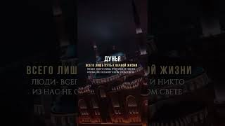 Дунья Мирская Жизнь