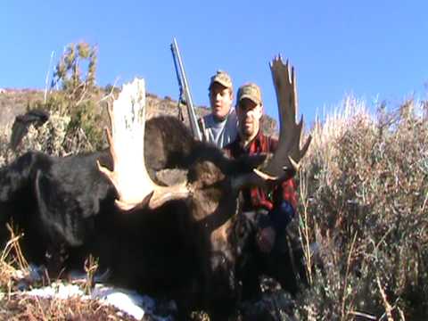 Idaho Moose Hunt BearPaw Outfitters