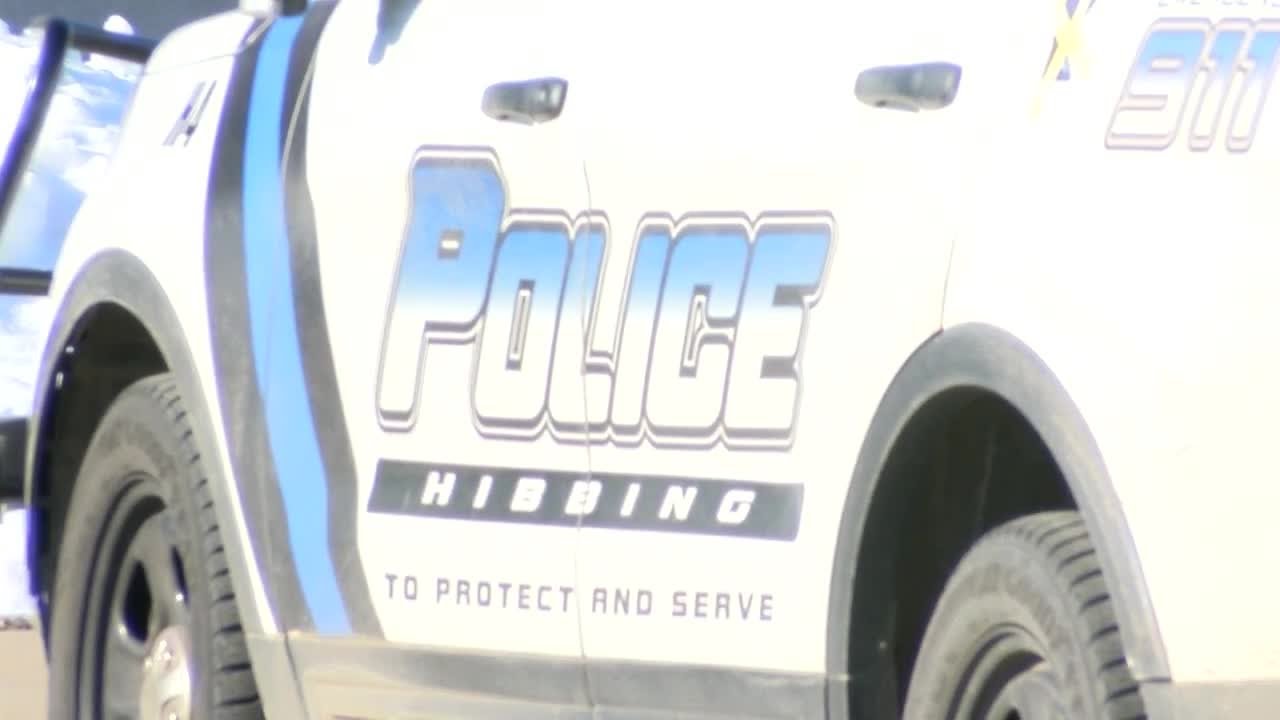 Hibbing task force addressing community issues