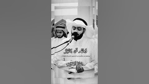 صوت يبعث الطمأنينة في القلوب سورة الأحزاب