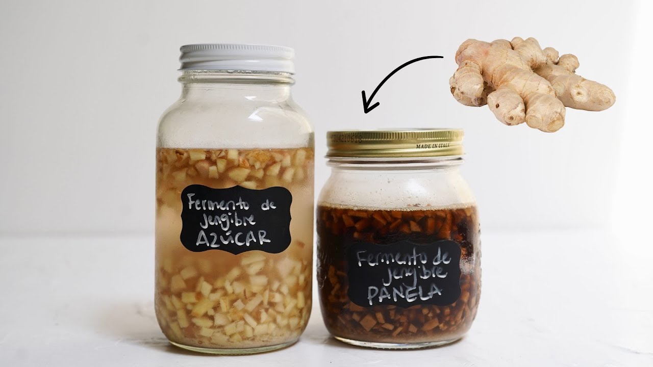 Crea tus propias sodas NATURALES y BURBUJEANTES con este iniciador de jengibre | GINGER BUG