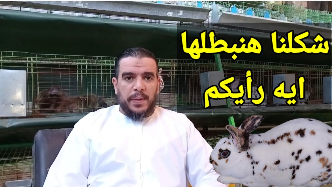 مبقناش نفيد حد وشكلنا هنبطلها رأيك يهمني في اكمال المسيرة .الارنب عرفني على ناس محترمة كتير