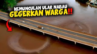 Kemunculan Ular NABAU Sepanjang 80M Gegerkan Warga Kalimantan!
