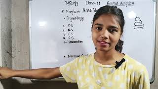 Phylum Annelida,Class -11th,Zoology 