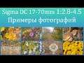 Sigma DC 17-70mm 2.8-4.5 Macro HSM Примеры фотографий