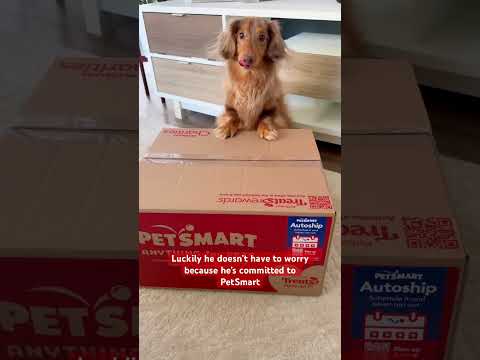 Things Roswell doesn’t have to worry about 🙅‍♀️  #anythingforpets #petsmart