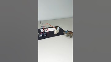 Best Motion Sensors - Ultimate Guide